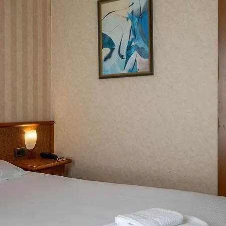 Hotel Meditur Pisa - *
